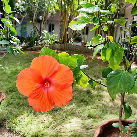 The Well Beach Side Guest House Auroville Bagian luar foto