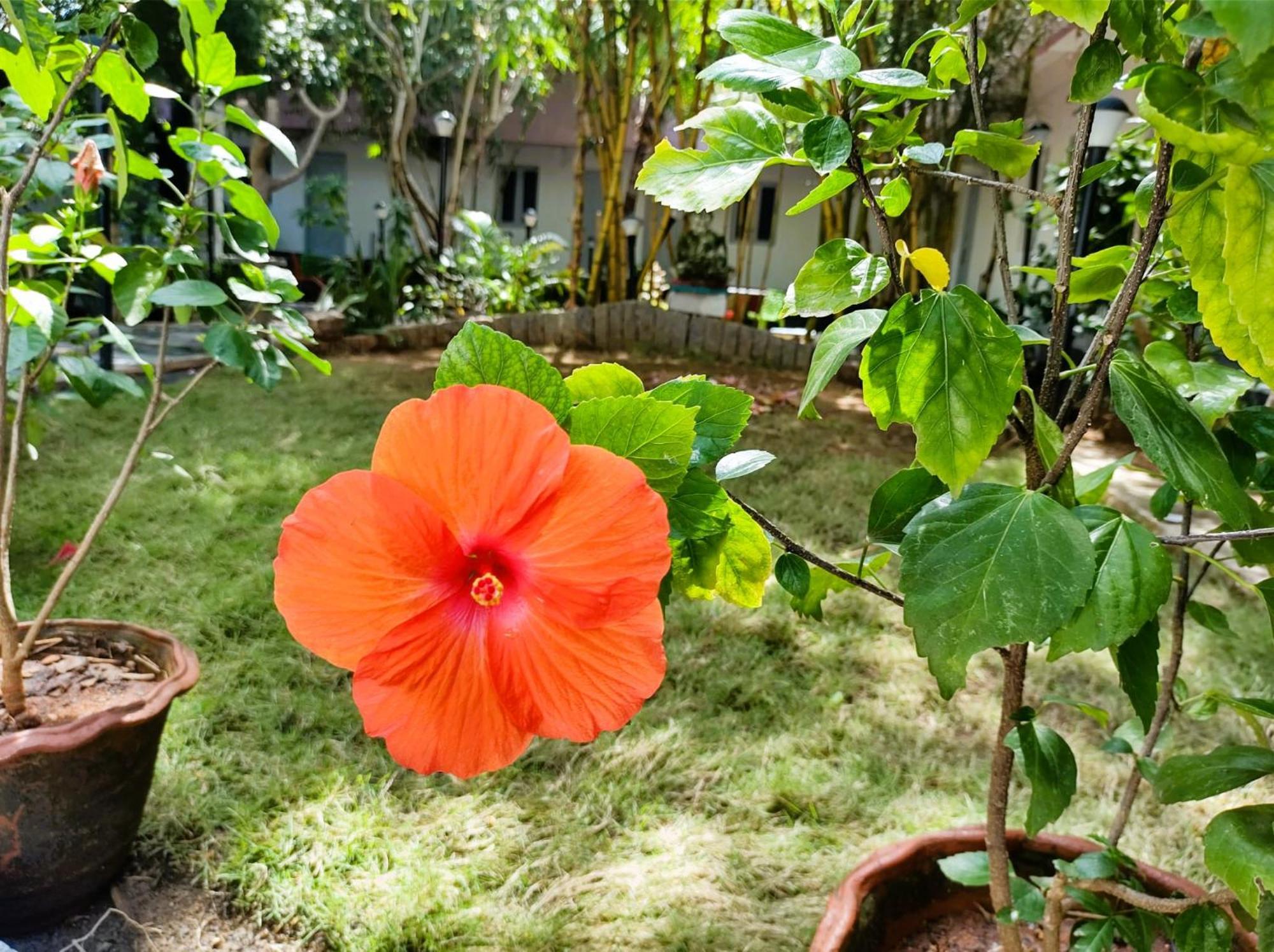 The Well Beach Side Guest House Auroville Bagian luar foto