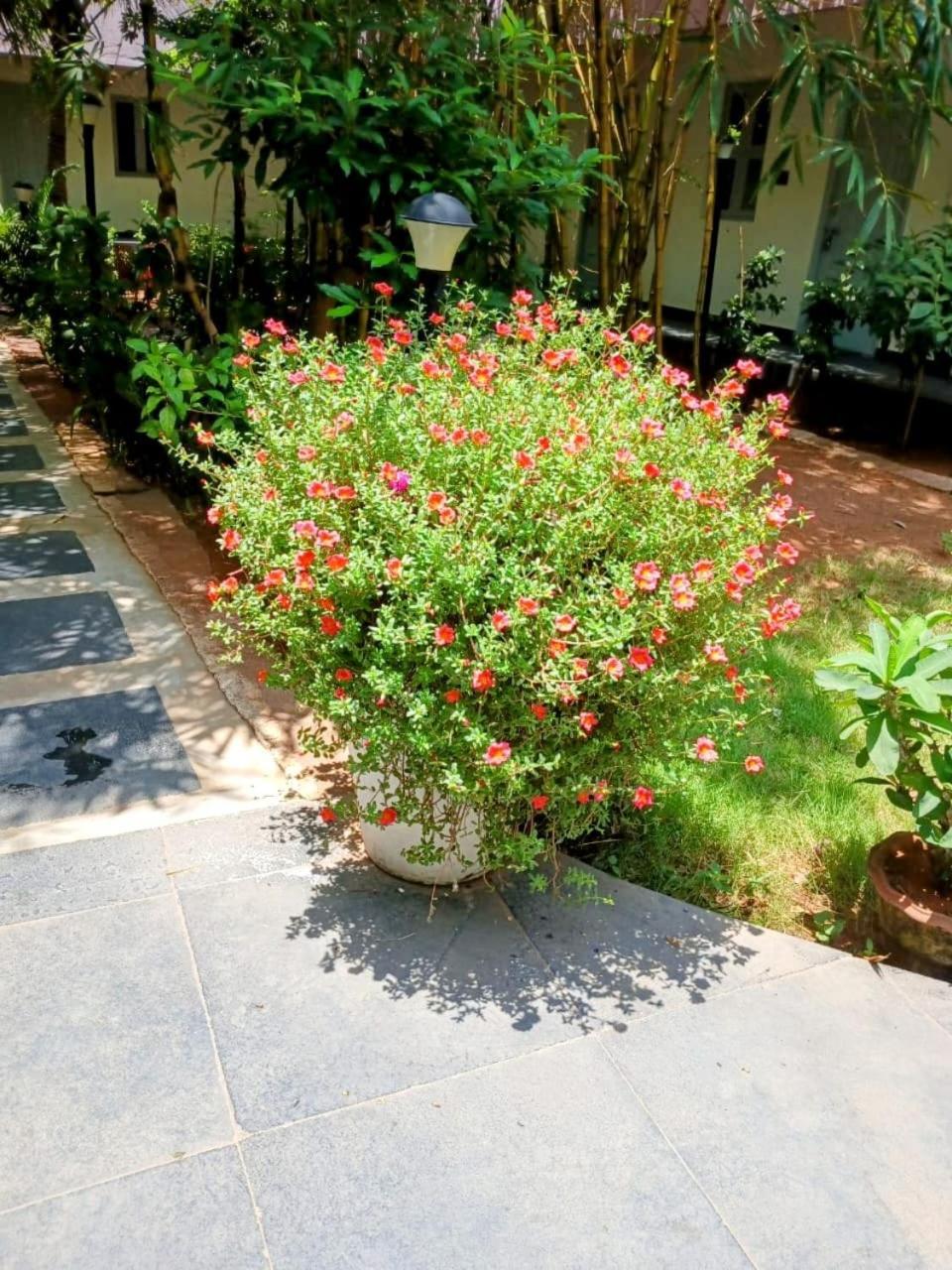 The Well Beach Side Guest House Auroville Bagian luar foto